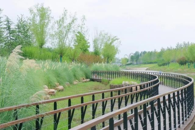  不想|汝南人气爆棚的“网红桥”，想不想来打个卡