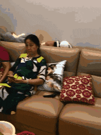  GIF|搞笑GIF：别动啊！这马上就好，就可以出去玩了！