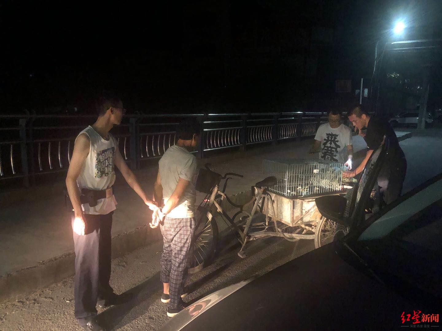 人力三轮车|为讨女友欢心58岁惯偷一周盗窃100多只鸽子和鸡鸭…