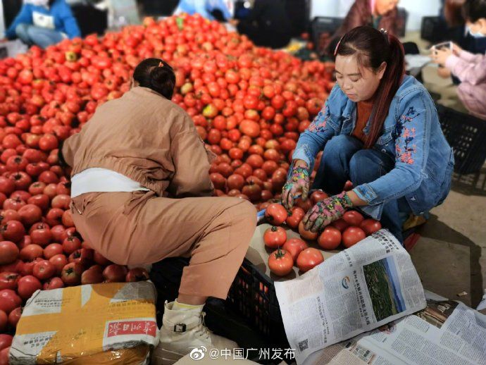 发货|发货啦!你饭桌上的菜,竟然是从这里打包发货的