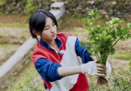  向往|向往3迎来史上最强关系户，黄磊让他们出去，彭昱畅全程赔笑脸