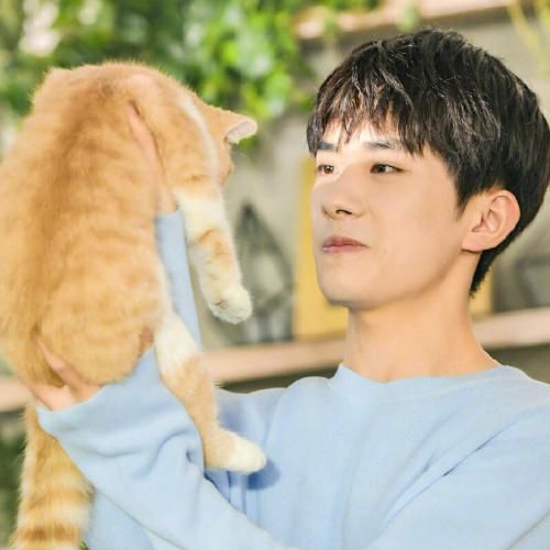  成员|内地明星势力榜排名，王一博重回第1，TFBOYS三个成员却只进了俩