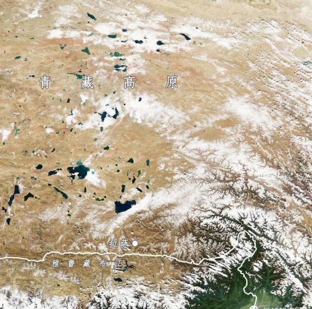  藏中电|最近，西藏有件大事