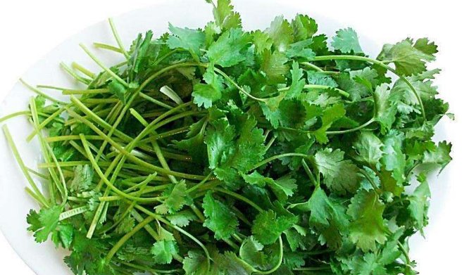  作用|你爱吃香菜吗？香菜的功效与作用你知道多少呢？快来看看吧！