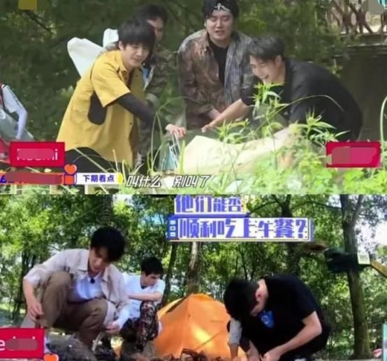  选择|《天天向上》预告出来了，谭松韵被迫选队友，会不会选择小哥呢？