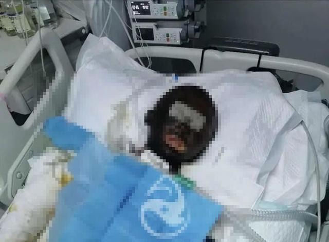 烧死|抖音女网红被前夫烧死：我建议你，好好看看这本书