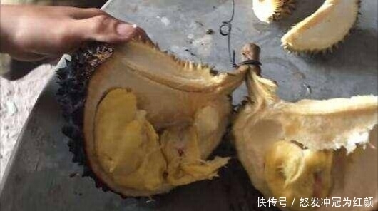 开心|男子把“榴莲”挂在灶上烤,家人大骂他,没想到烤好后开心坏了!