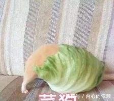 最怕|火影忍者手游决斗场最怕遇到的忍者盘点,惨败后还要被摸头