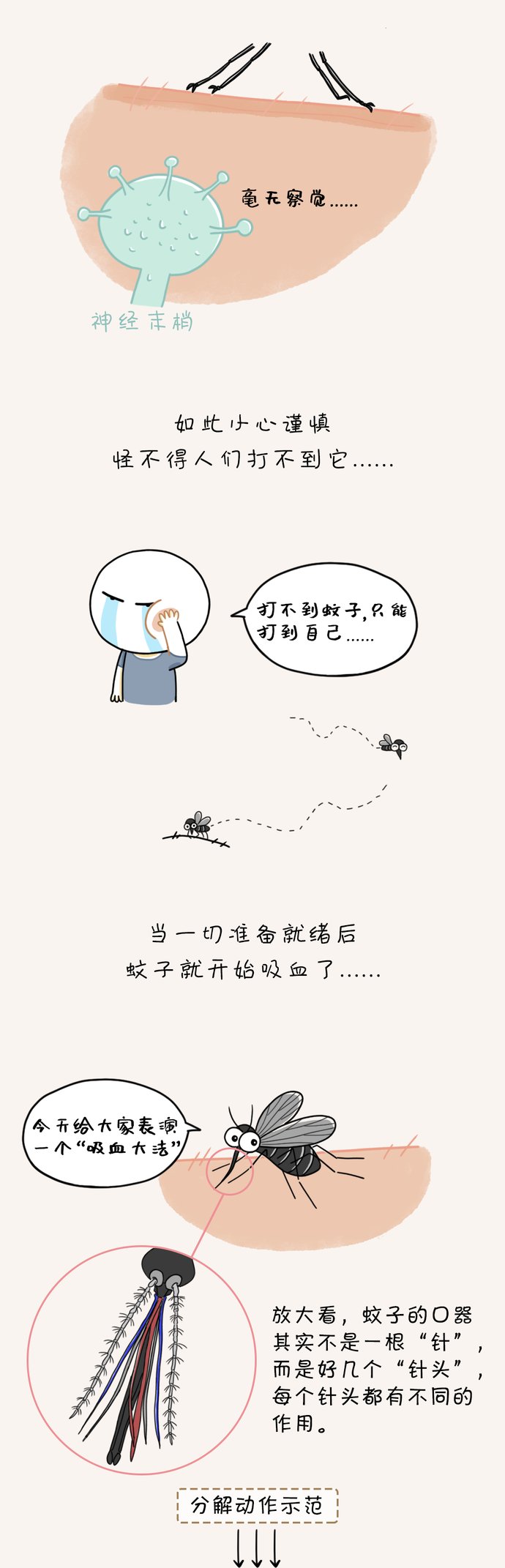  蚊子|科普 | 蚊子为什么总能悄悄叮到你？原来……