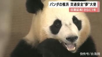 旅日熊猫"枫浜"再次被日本警方委任交通安全大使