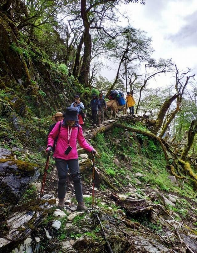 神山|无深度不云南——丽江巴拉神山徒步穿越攻略