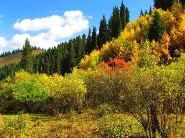  蹊跷|姜广富：蹊跷的命案｜故事