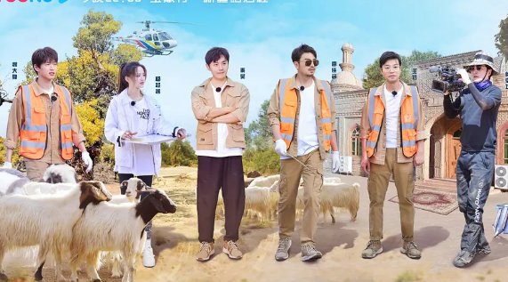  节目|《极限挑战》凉了，但这档衍生节目真的是“宝藏”