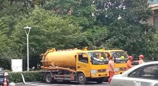 卫生间|许某某有反侦察能力：警犬在其作案的卫生间，都嗅不到来女士的气味