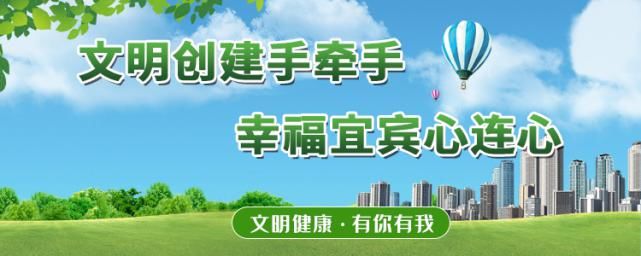  表扬|幸而有您！宜宾这些教师被市委市政府通报表扬了