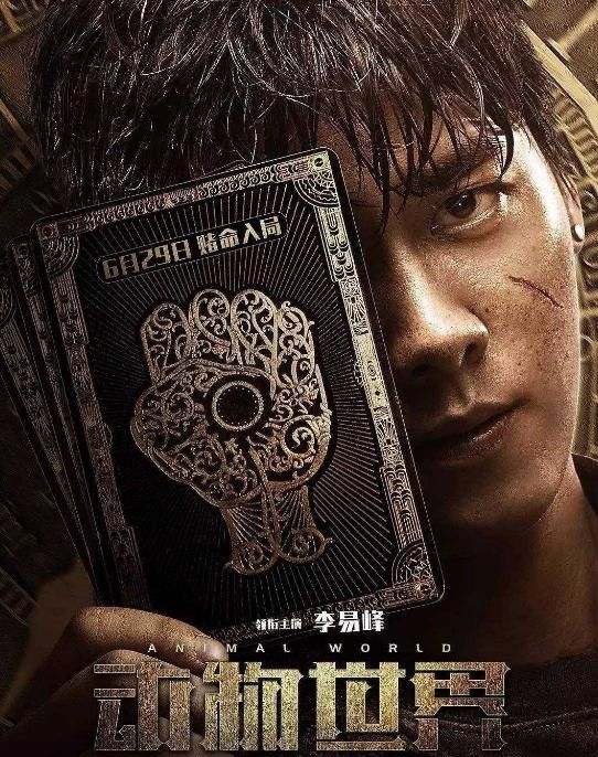 演员|他是曾经的顶级流量,却低调了这么久,网友:他都在干什么?