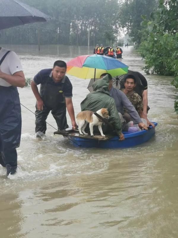 梅雨期|史上最长！安徽梅雨季日数已达57天，雨量为1961年以来最多