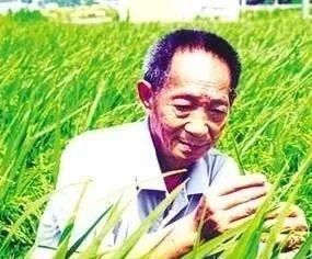  桓公|快讯！2020福建高考作文题来了！“点评天团”海都已安排！