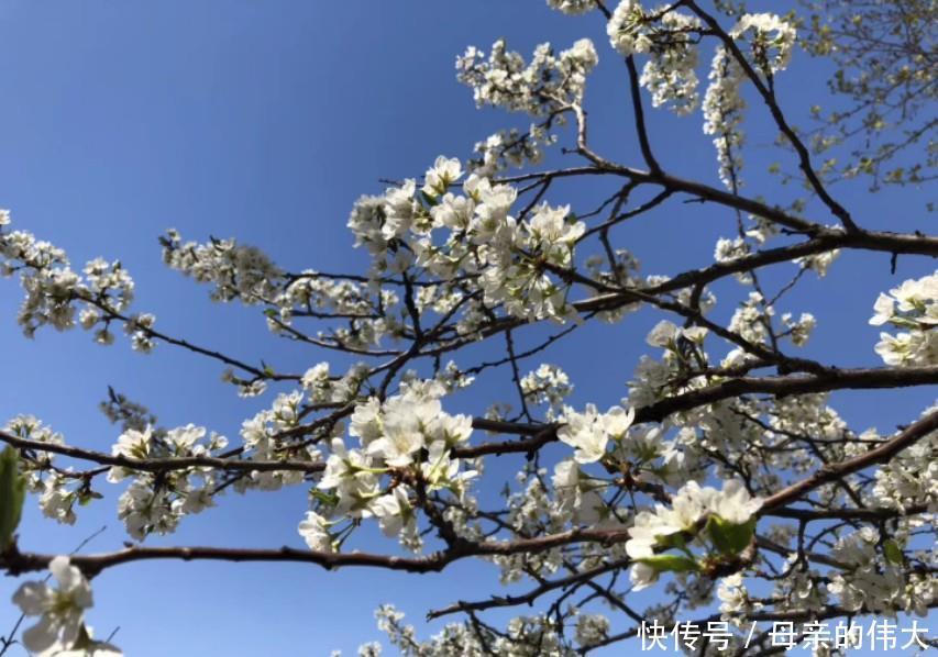 小雅|父母要彩礼女儿坚持不要，结婚该要彩礼吗？3个女人给出答案