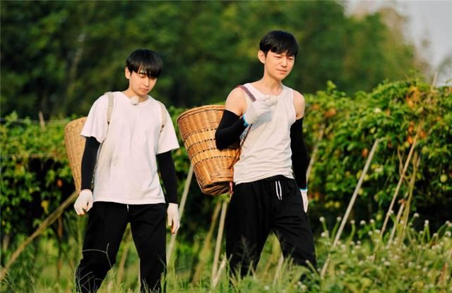  节目|综艺热度榜单新鲜出炉，《向往4》名列前三，《极挑》榜上无名？