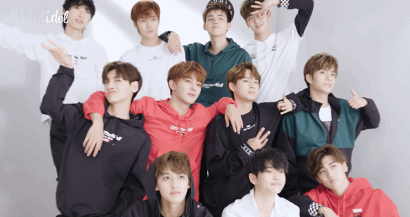  明星|明星们的“相亲节目”，你想参加吗？