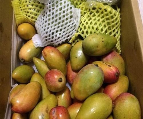  坏桃|赵丽颖以身试法“坏桃不能吃”，只坏了一点的水果，只能扔掉吗？