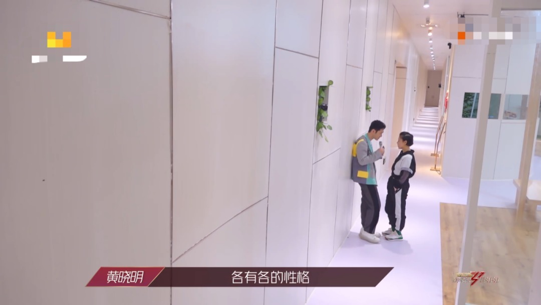 强势|《乘风破浪》的“搞事三人组”,性格强势让人忌惮,团队被她们搅