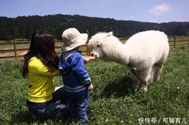 宝妈|熊孩子扯断别人项链，得知价格不菲！宝妈：我只赔五百块钱