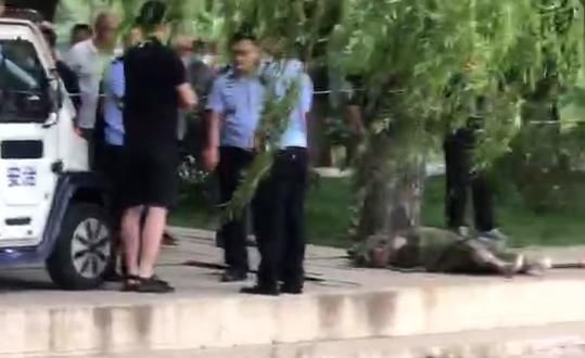 湖中|男子湖中溺亡 疑似外来务工人员