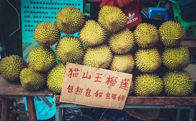 海中|中国这个美丽海滨！城在海中、海在城中，藏着绝妙生活却少有人知