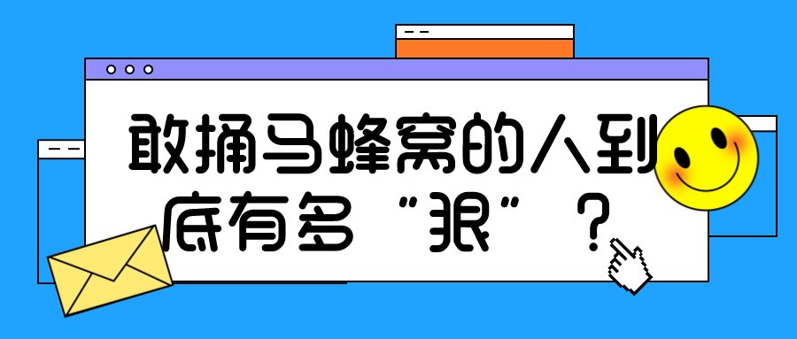  预警|【多图预警】敢捅马蜂窝的人到底有多“狠”？