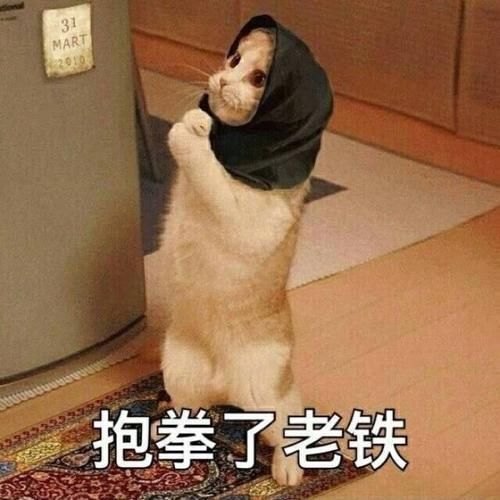  阵容强大|元气满满的哥哥官微宣嘉宾阵容，杨洋常驻出乎意料，节目阵容强大