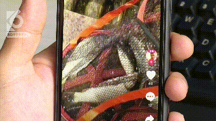 滇池|“我在滇池横着走！”男子直播在滇池钓鱼，结果…