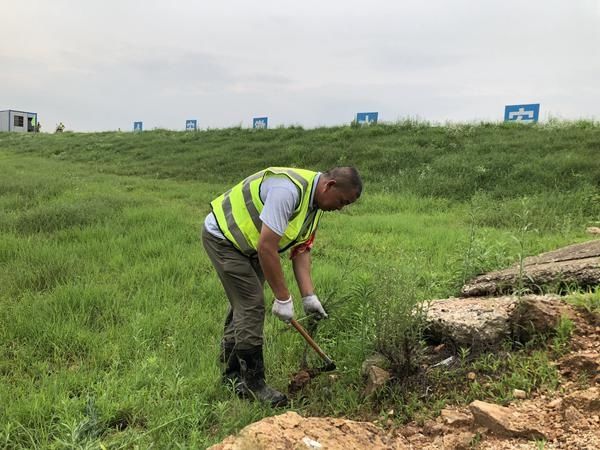  杨桥镇|脱贫户化身江堤防汛卫士积极投入一线