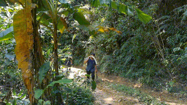  时间|“木虫”钻进互联网