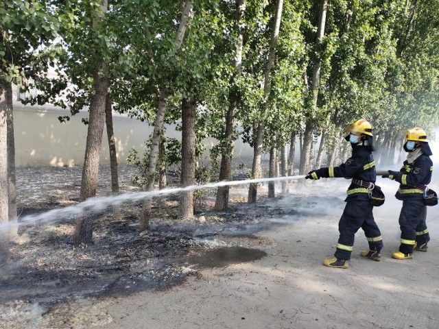 4月以来河南发生飞絮火情900余起 专家提醒加强防范