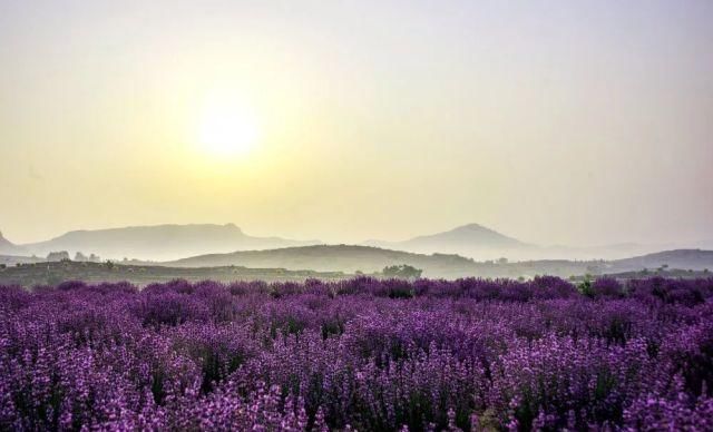  九山|临朐九山，美丽乡村有大景观