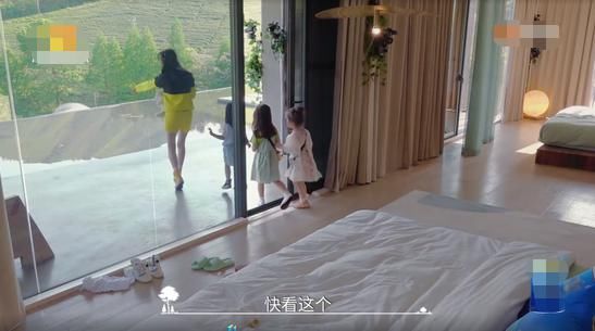  豪宅|郑爽新综艺被气哭？当看到综艺里的森林豪宅，我羡慕哭