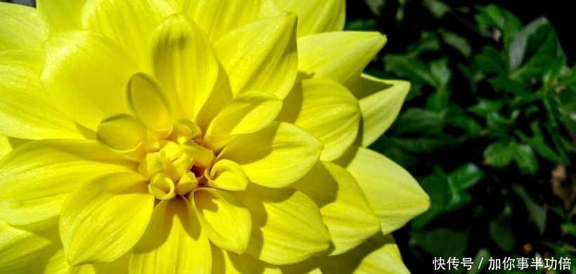 桃花|9月中旬,桃花遍地,姻缘四起,脱单拥抱心上人的四大星座