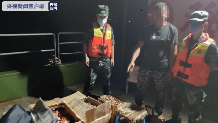 非法|涉案红珊瑚110余公斤案值逾5000万元！福建查获非法猎捕红珊瑚案