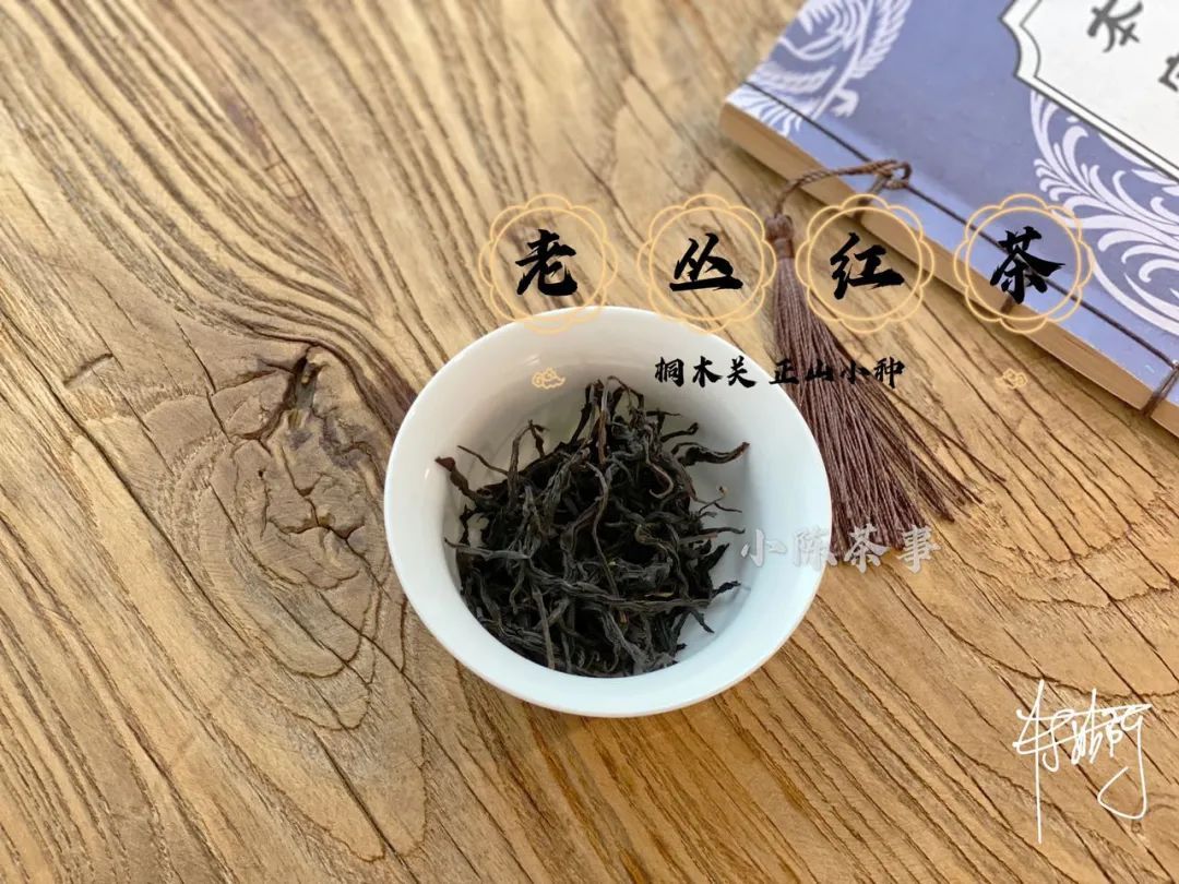 传统|从老丛红茶、烟小种到花香小种，这款红茶代表了传统小种的定义