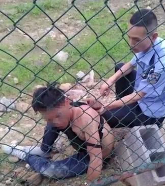  小可爱|这些小可爱是真实存在的吗？