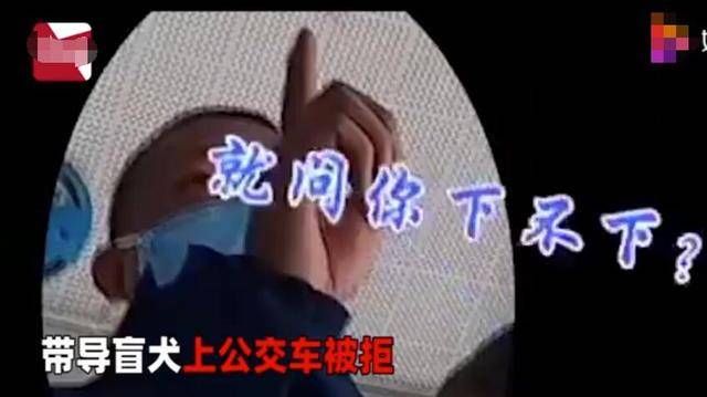 公交|“交警扮盲人带导盲犬乘车被拒”：曝光的不止无知，还有冷漠自私