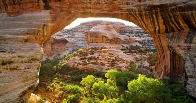  鸿运|2020下半年鸿运当头, 苦尽甜来, 将美梦成真, 人生精彩的3大星座