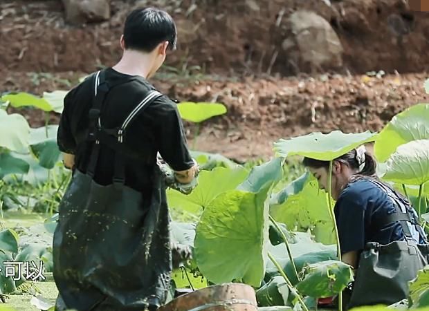  一旁|许光汉成功挖到第一个藕，一旁何炅的表情抢镜，是否作秀很明显