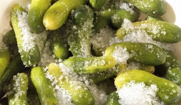  食物|肝病“根源”被揪出，医生提醒：4种食物尽快忌口，肝病绕道而行