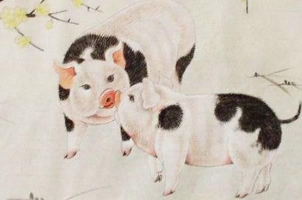 贵人|猪猪猪猪：10月多“留意”这个人，是你未来3个月的大贵人！