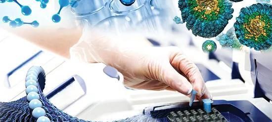 领域|今天聊聊当下网红分子诊断领域~