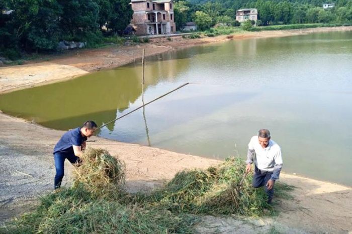  贫困|零陵：凤凰山村“凤凰涅槃”