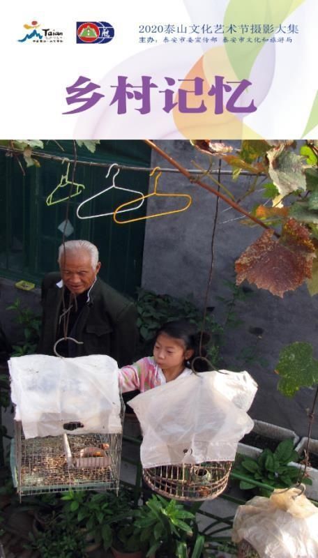 看不见|看不见的泰山 赏不尽的泰安